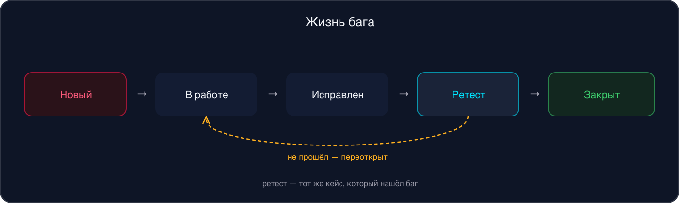 Жизненный цикл бага: новый, в работе, исправлен, ретест, закрыт; если ретест не прошёл, баг переоткрывают и возвращают в работу